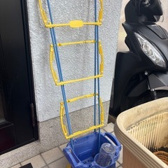 プランター 貰って下さいの画像