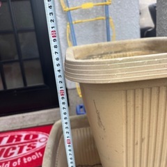 プランター 貰って下さいの画像