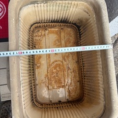 プランター 貰って下さいの画像