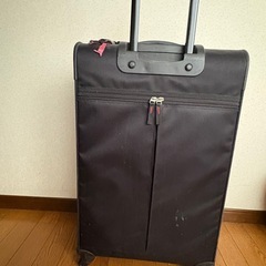 綺麗です。スーツケースの画像