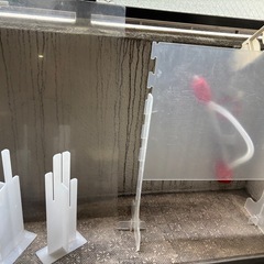 パーテーション2個の画像