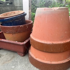 植木鉢100円の画像