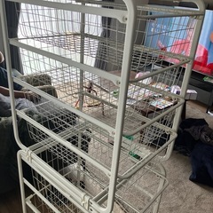 IKEA アルゴット　　　の画像