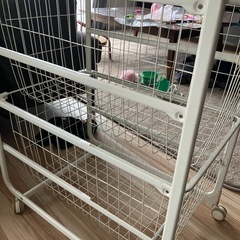 IKEA アルゴット　　　の画像