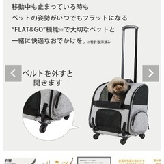耐荷重10kg / ペットにやさしいキャスター付きキャリー エアバギーフィットの画像