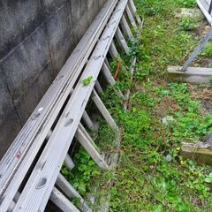 2連はしごの画像