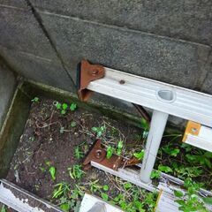 2連はしごの画像