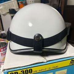 スモールダック(ゴーグル付)CD-300の画像