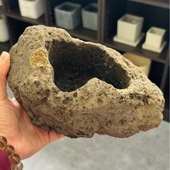 溶岩 鉢 多肉植物 山野草 盆栽などに ビオトープ 植木鉢の画像