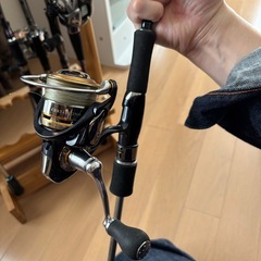 ティップランエギング　釣り　イグジスト　セルデート　エメラルダス　まとめ売り　の画像