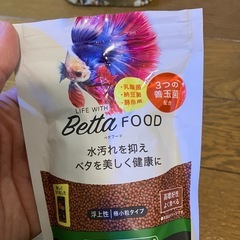 ベタ　飼育セットの画像