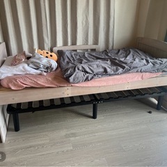 シングルベッドの画像