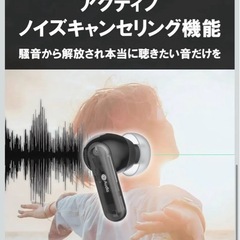 (nb)Audio SkeLeTon II ワイヤレスイヤホン 新品未使用の画像