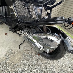 ホンダ　ズーマーAF58キャブ車　の画像