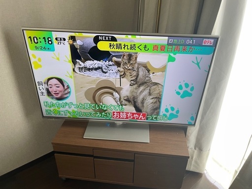 パナソニック42型テレビ