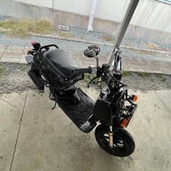 ホンダ　ズーマーAF58キャブ車　の画像