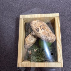 値下げ　本日取引希望　松茸の画像