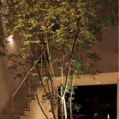 Panasonic LEDスポットライト　LGW40121Z ②の画像