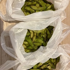 枝豆の画像