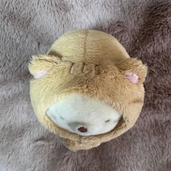 すみっコぐらし　ねこの画像