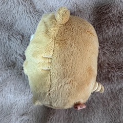 すみっコぐらし　ねこの画像