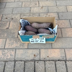 サツマイモ2kg（紅はるか）の画像
