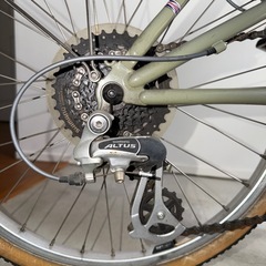 RALEIGH ラレー ミニベロ rswRSWの画像