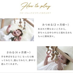 【美品】HOPPL ホップル ベビージム ホワイトの画像