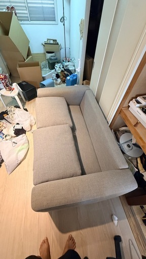 コアラマットレスから発売　
コアラソファ