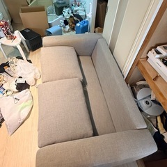 コアラマットレスから発売　
コアラソファの画像