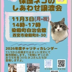 保護ネコの幸せ譲渡会in西宮