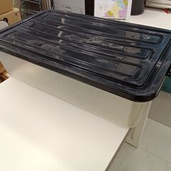 ★リユースのサカイ千葉中央店★  衣装ケース  H20×D74×W44 クリーニング済み TC5087の画像