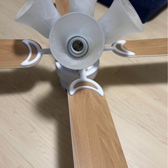 シーリングファンライトの画像