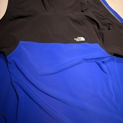 Lサイズ THE NORTH FACE APEX FLEX GTX ゴアテックスの画像