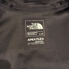 Lサイズ THE NORTH FACE APEX FLEX GTX ゴアテックスの画像