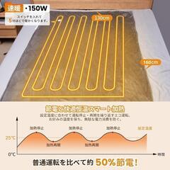 電気毛布❣️3分速暖 160x130cm 10段階温度調節 大判 ダブル 厚手の画像