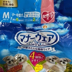 犬用（女の子）おむつ2枚の画像