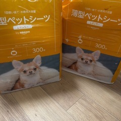 2 袋 Amazonベーシック ペットシーツ 薄型 レギュラー 1回使い捨て  ホワイトの画像