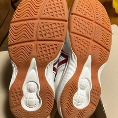 体育館シューズ　24.5cm 天中の画像