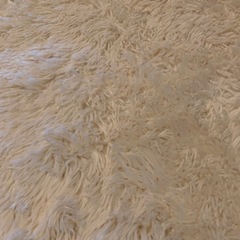 こたつセットの画像