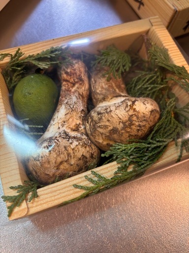 本日取引希望　松茸