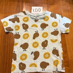 キウイ　Tシャツ