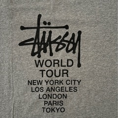 Stüssy Tシャツ メンズ Lサイズの画像