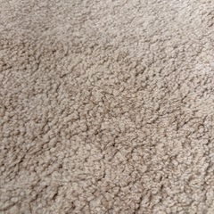 IKEA 絨毯　170×240の画像