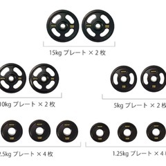 IROTEC オリンピックラバープレート　95kgセットの画像