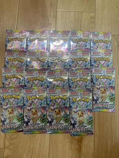 テラスタルフェス