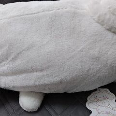 BIGぬいぐるみの画像