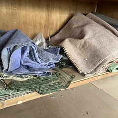 絨毯　ラグ　ゴザ　中古の画像