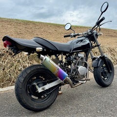 車体　ホンダ エイプ50 ape50　キャブ車の画像