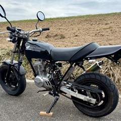 車体　ホンダ エイプ50 ape50　キャブ車の画像